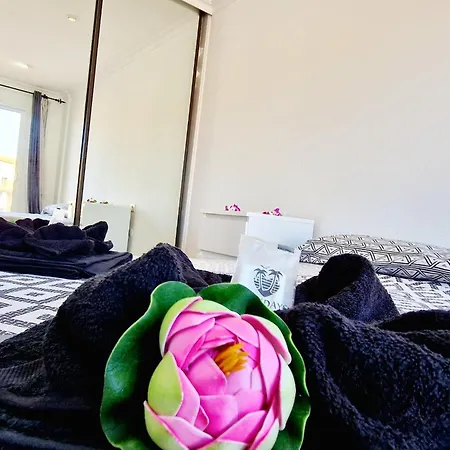 La Mar Santiago 1 Bedroom Next The Ocean Tatil Evi *